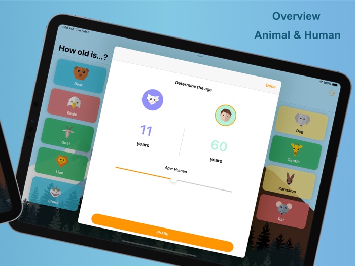 Animal Age Calculator
