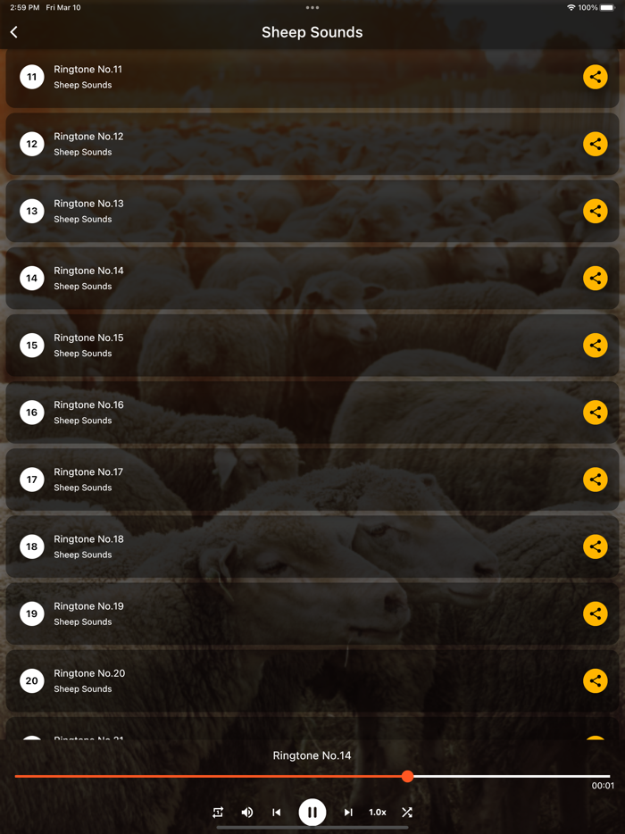 Sheep Sounds Ringtones