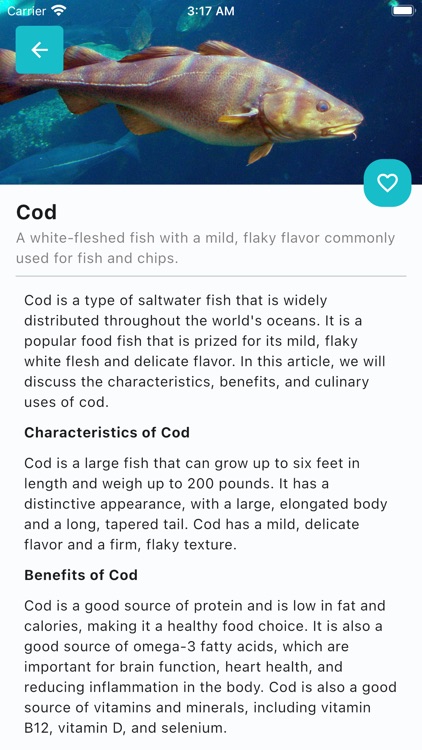 Fish ID - Fish Identifier