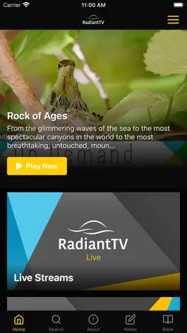 Game screenshot RadiantTV mod apk