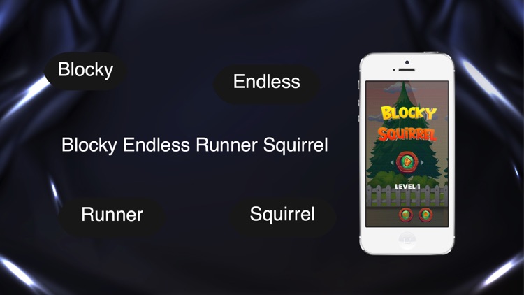 Blocky Endless Runner Squirrel