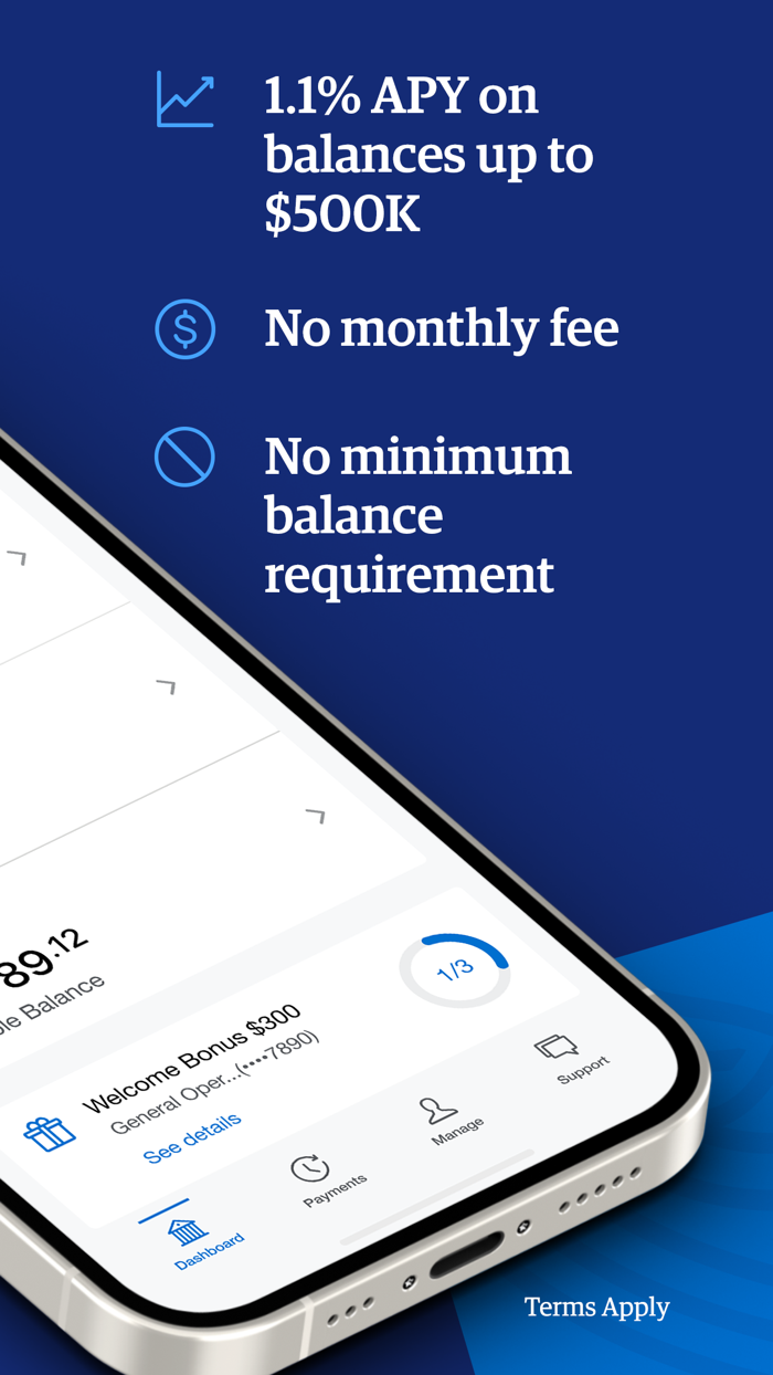 Amex Business Checking