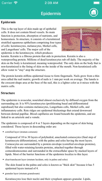 Anatomy : Integumentary System screenshot-6