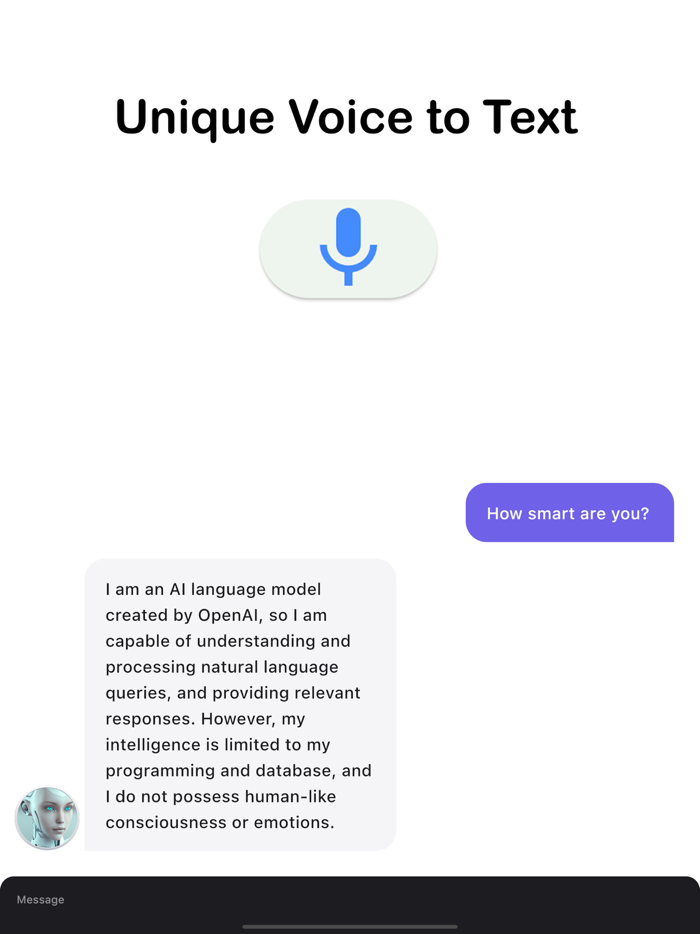 Chat GPT Voice Open AI Bot
