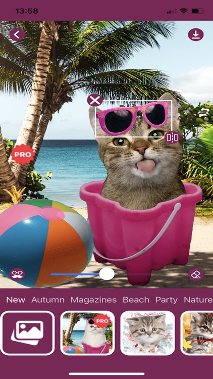 Cat Photo Editor! screenshot-6