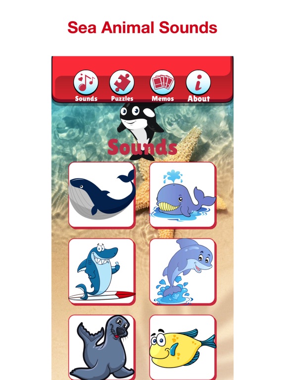 Angry Shark: Sea Animal Games screenshot 2