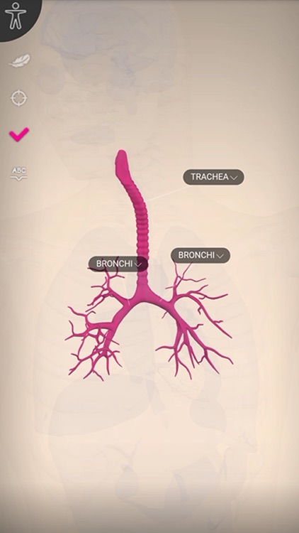 AnatomyMap screenshot-4