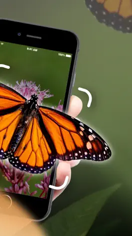 Game screenshot Butterfly Scanner - Butter ID apk