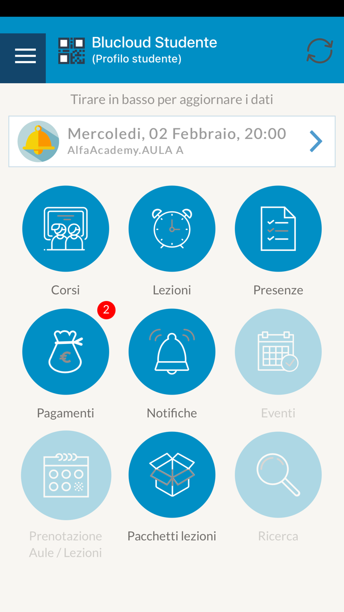Alfa Academy