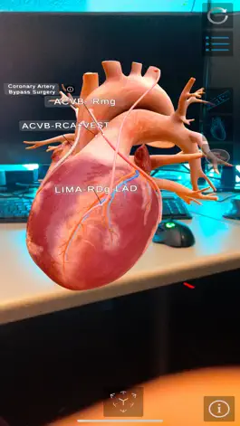 Game screenshot TheHeartPhysiologyApp hack