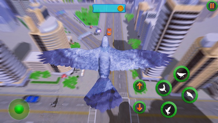 Pigeon Games Flight Simulator