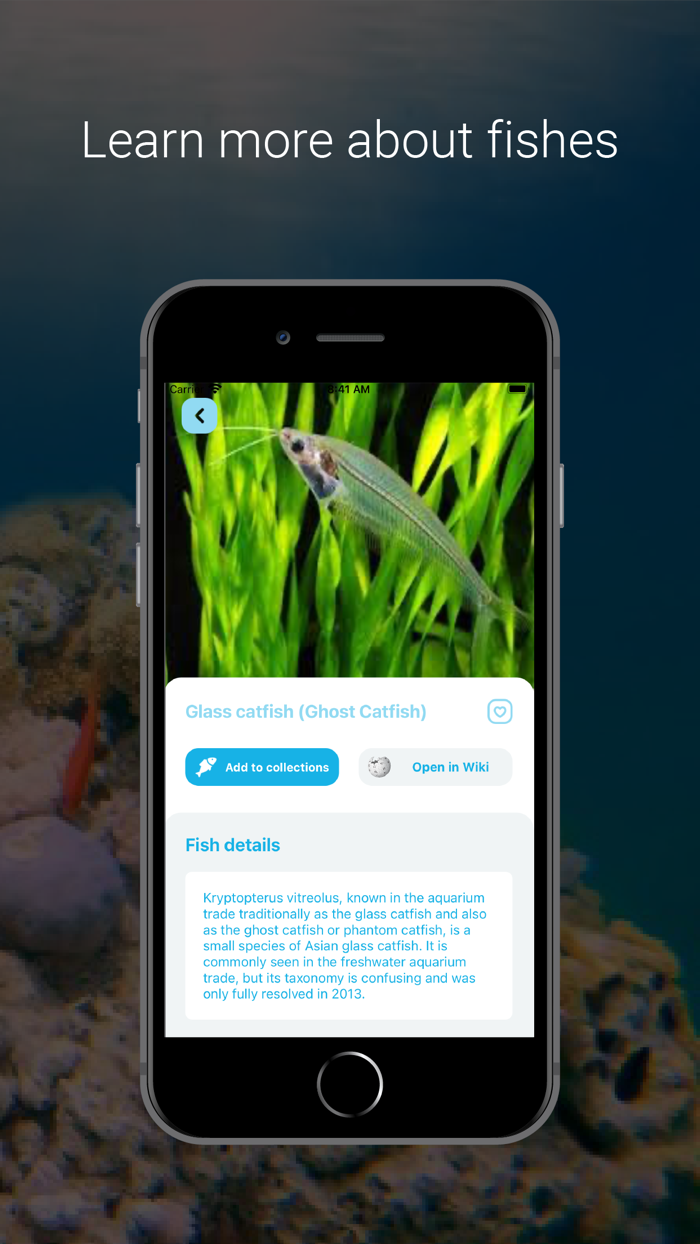 Fish Identifier - Fishing