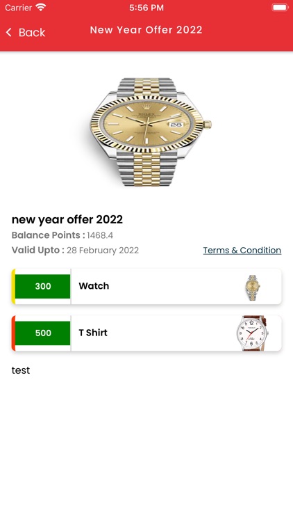 Magsol RLP screenshot-5