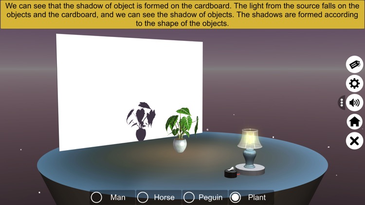 Light, Shadows and Reflections screenshot-3