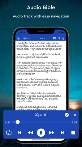 Game screenshot Telugu Bible Audio hack