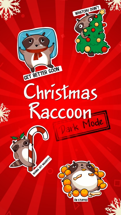 Christmas Raccoon