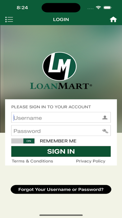 LoanMart screenshot 2