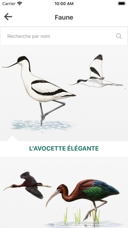 Mes Marais du Vigueirat