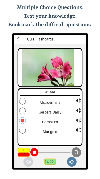 Types Of Flowers