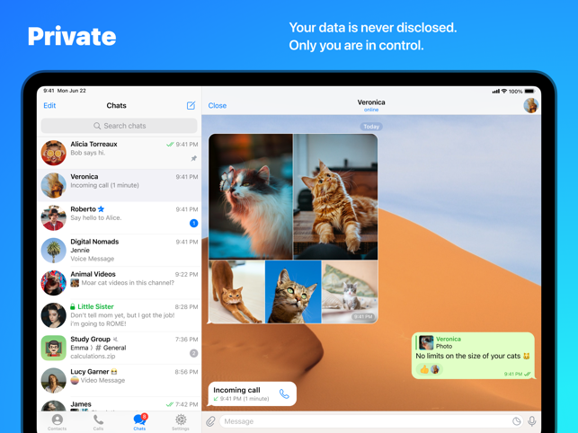 Telegram Web: Nutze Die Sichere WhatsApp Alternative Im Browser Oder ...