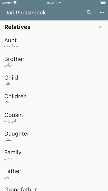Dari Phrasebook screenshot-4