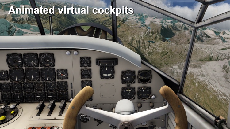 Aerofly FS 2022 screenshot-4