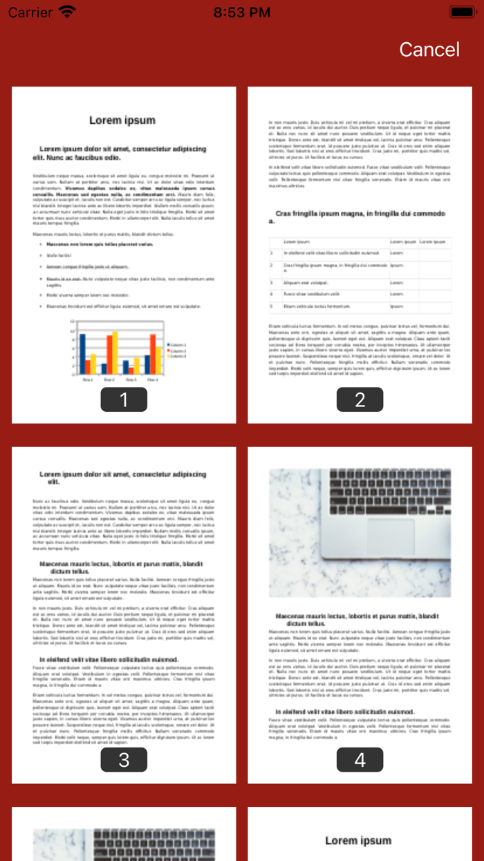 PDF Maker Scanner and Reader