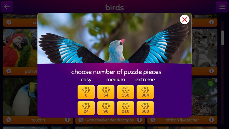 Jigsaw puzzle - PuzzleTime screenshot-7