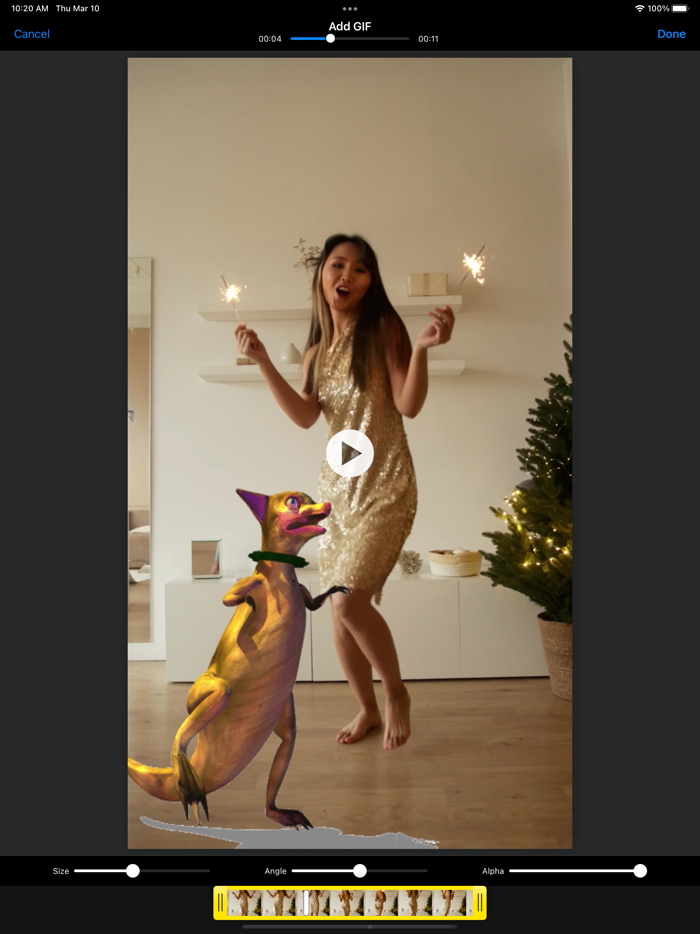 Add GIF to Video and Photo