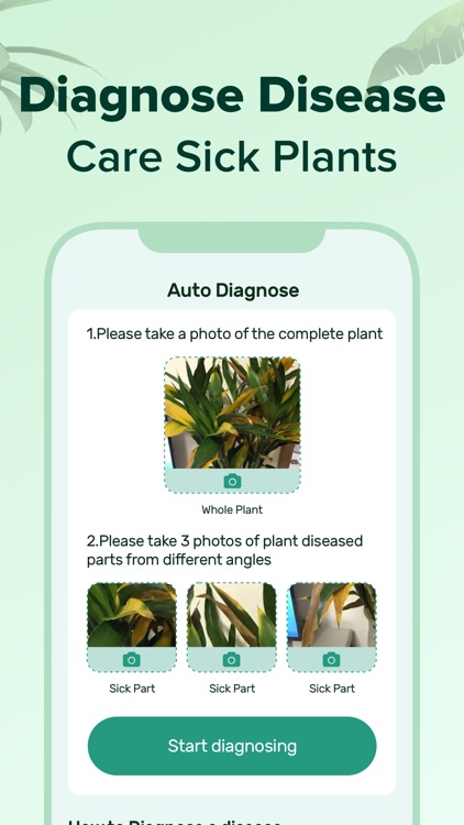 PlantNow-Plant Identification screenshot-5