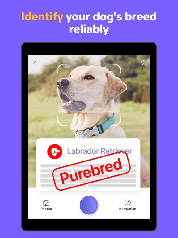 Dog Pal - Training & Breed ID screenshot 3