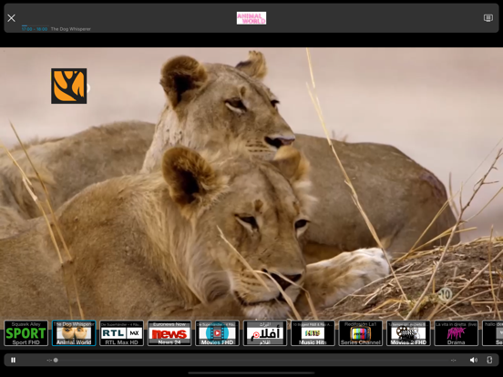 IPTV Streamer Pro screenshot 4