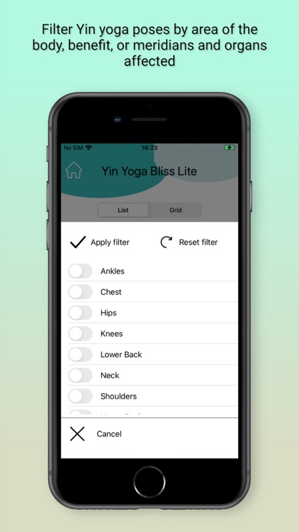 Yin Yoga Bliss Lite