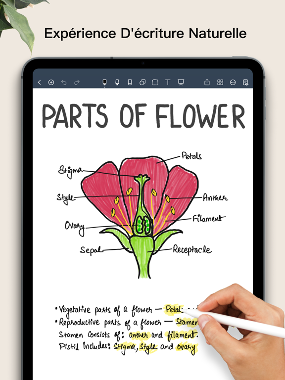 Noteshelf Noteshelf