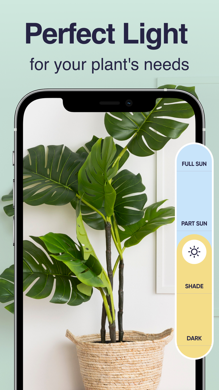 Planty Plant Identifier, Care