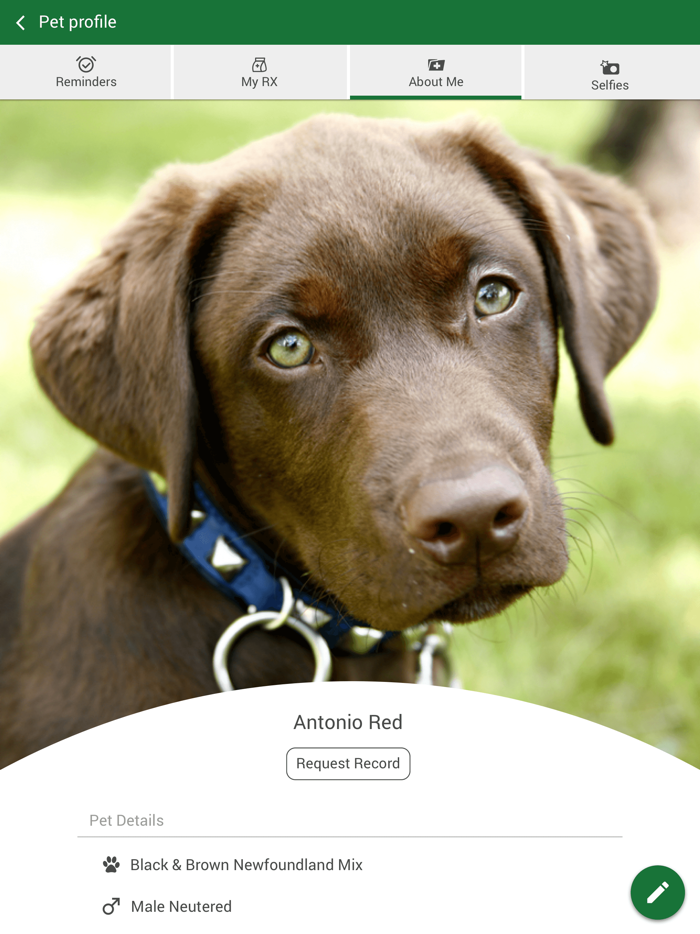 Magnolia Animal Clinic