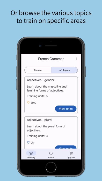 French Grammar Master