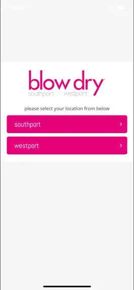 Game screenshot blow dry southport-westport apk