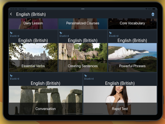 Bluebird: English British screenshot 14