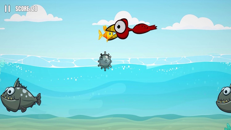 Flying Fish: Survival In Sea