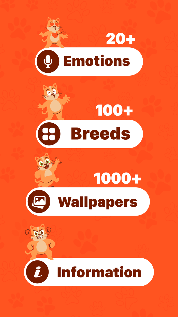 Human to cat translator app