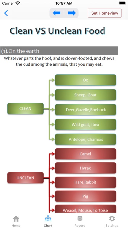 Bible Chart