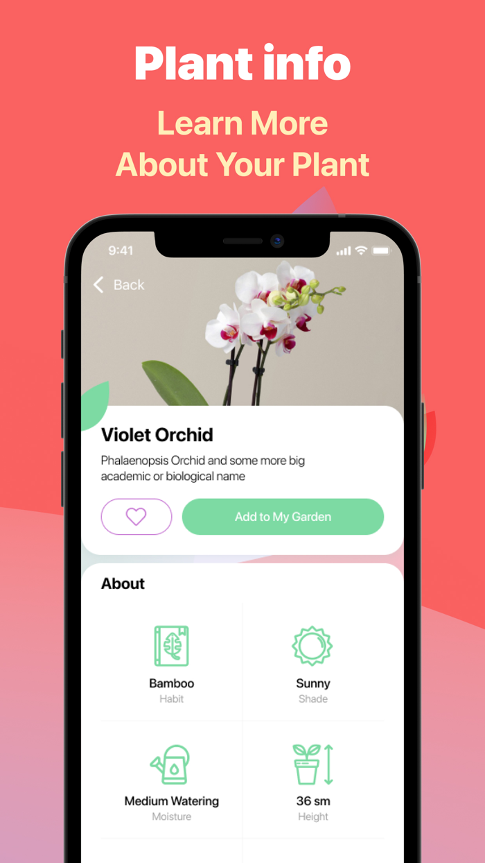 Lill - plant identifier  care
