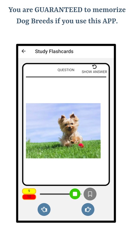 Learn About Dog Breeds screenshot-4