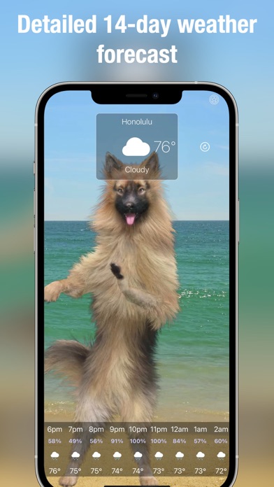 Dog Days Weather Live screenshot 3