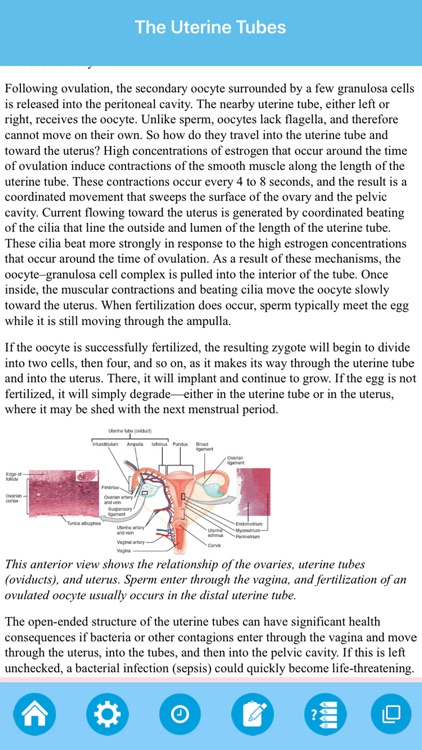 The Female Reproductive System screenshot-5