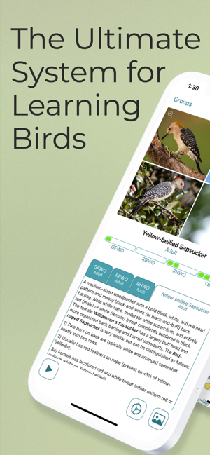 ‎Larkwire—Learn Bird ID Capture d'écran