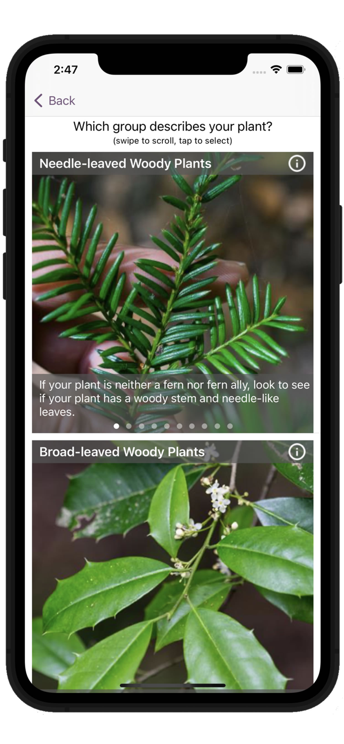 FloraQuest Northern Tier