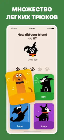 Game screenshot Woofz - Дрессировка собак hack