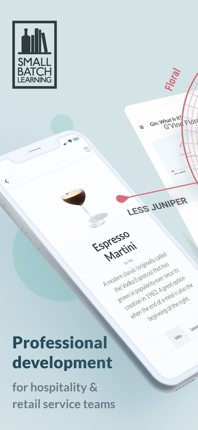 Small Batch Learning